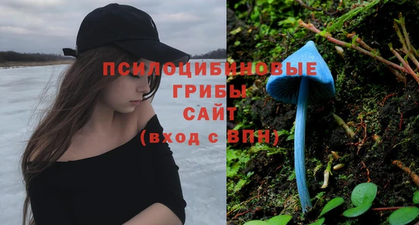 дурь Алексин